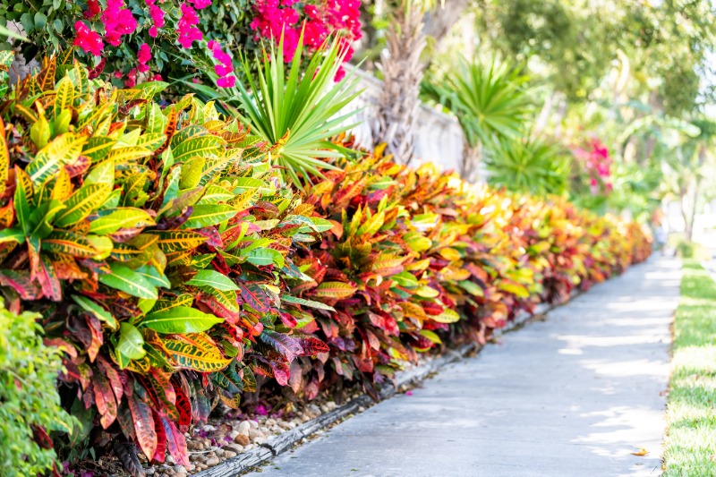 How to create a smart garden for your Ibis luxury home in West Palm Beach, FL