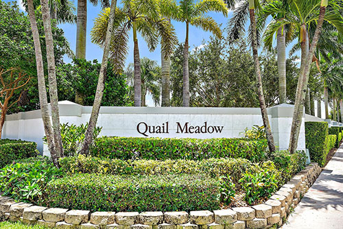 Quail-Meadow-2