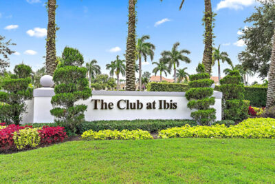 Ibis in West Palm Beach